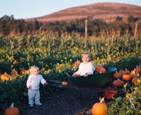 Portraits by Shanti Duprez / Half Moon Bay pumpkin patch / Lemos Farm / Farmer John's pumpkins / Bob's vegetable stand
