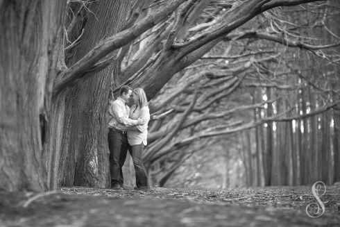 Portraits by Shanti / Shanti Duprez / Engagement / Enchanted Forest / Fitzgerald Marine Reserve